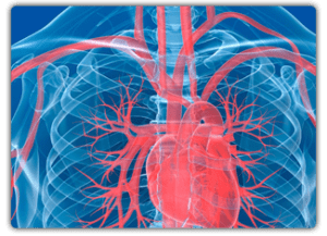vascular graphic