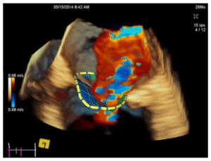 Core Sound advanced medical imaging viewer graphic