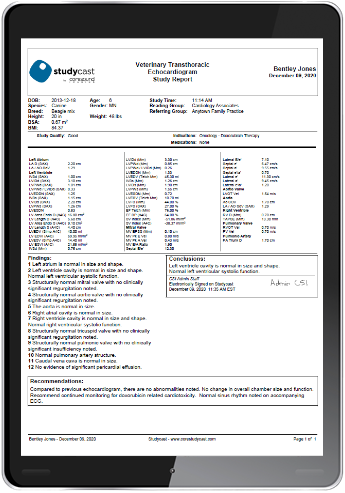 Studycast Angiography worksheet shown on a desktop monitor